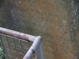 image of grave number 948110